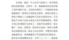 童年乐趣作文300字