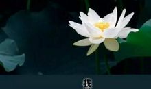 深奥富有哲理的语句