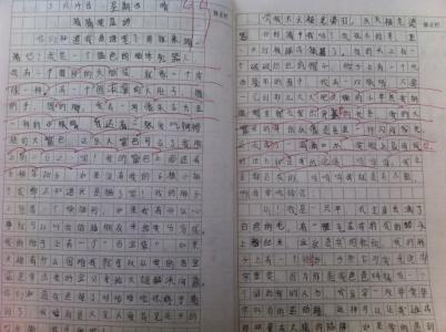 我发现三年级的作文