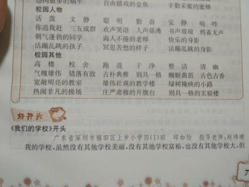 作文校园里的小池塘