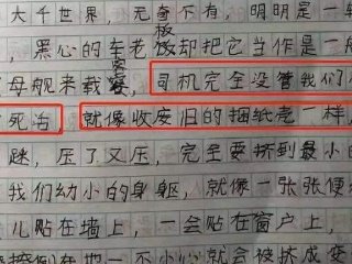 我姐姐的作文500字