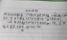 我的姐姐作文700字