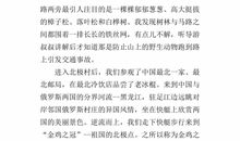 我的快乐暑假作文