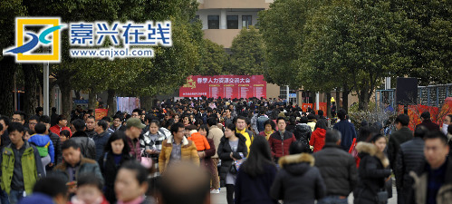 三流大学本科生的求职经历与认知