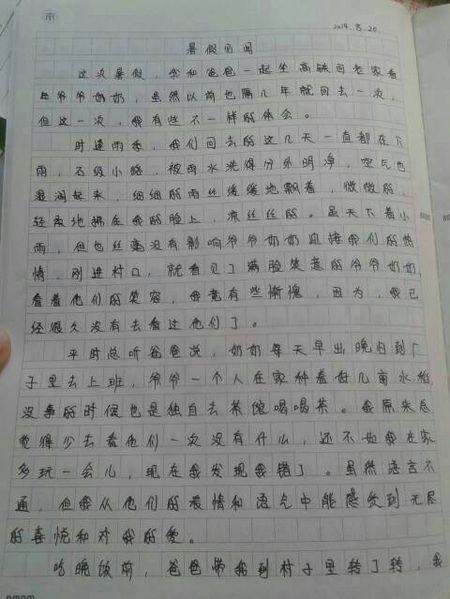 介绍我的家庭作文500字