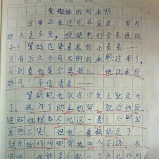 我姐姐写的400字