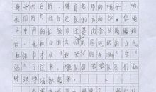 写拔河比赛的作文