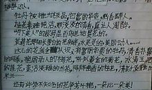 偶然的发现作文