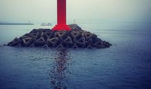 爸爸的灯塔读后感