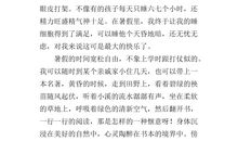 我的快乐暑假作文350字