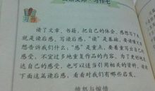 圆明园读后感450字