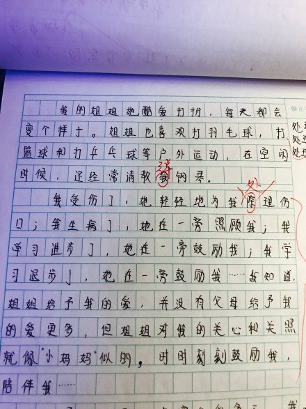 我姐姐写的100字