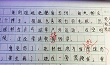 我的姐姐作文100字