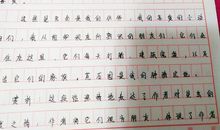 初一语文第二课读后感