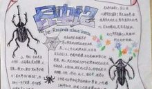 昆虫记第一篇读后感