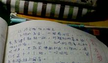 介绍小伙伴的作文