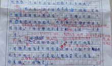 我的同桌四年级作文