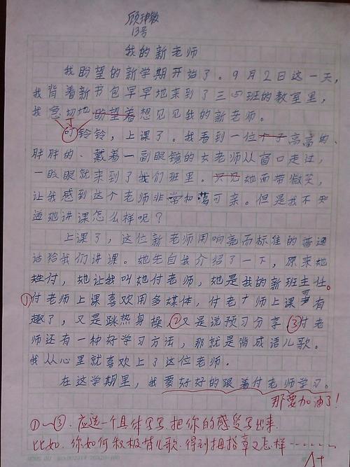 我的小发现组成