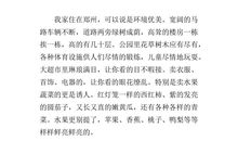 作文生活中的一朵花