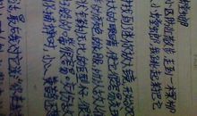 观察蚂蚁作文500字