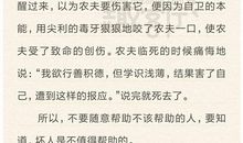 有关高老头的读后感