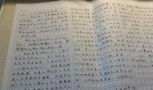 团结的力量作文