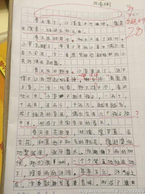 春天在这里600字