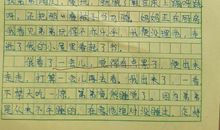 作文那一次我真快乐