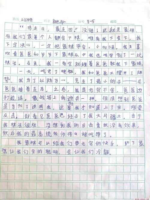 关于国际象棋的组成