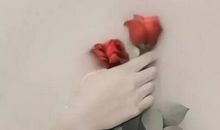 请别伤我的心，里面住的是你