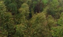 趁年轻，多翻山越岭，多沐浴阳光