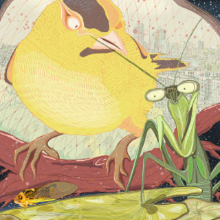 螳螂捕捉蝉和黄ole的启示