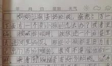 三年级写花的作文