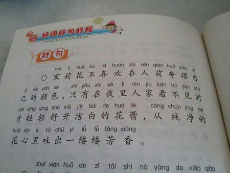 关于茉莉花的成分