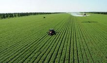 现代勤奋的事例