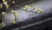 幸福人生读后感