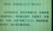 以发现为主题的作文