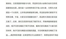 戴红袖标的大象读后感