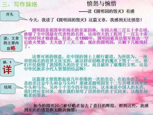小学生的感受和论文评论