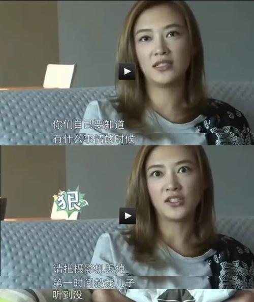 采尔英经典语录