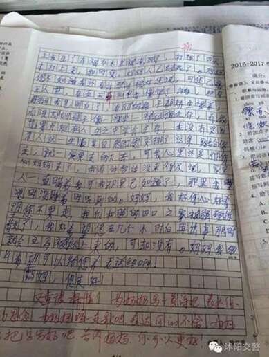 妈妈，我想告诉你一个300字的作文