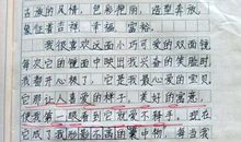 元旦晚会作文600字