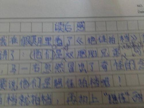 优秀的伴侣阅读后13种感觉