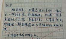 我们班的博客读后感