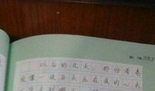 我的一次发现作文