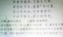 珍惜时间作文600字