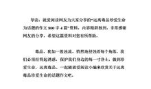 珍惜生命的作文