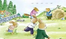 兔子坡的读后感