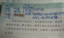 写小狗的作文300字