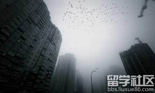 关于阴霾天气的600字论文